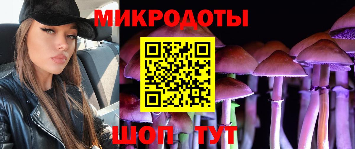 Псилоцибиновые грибы Psilocybine cubensis Удомля