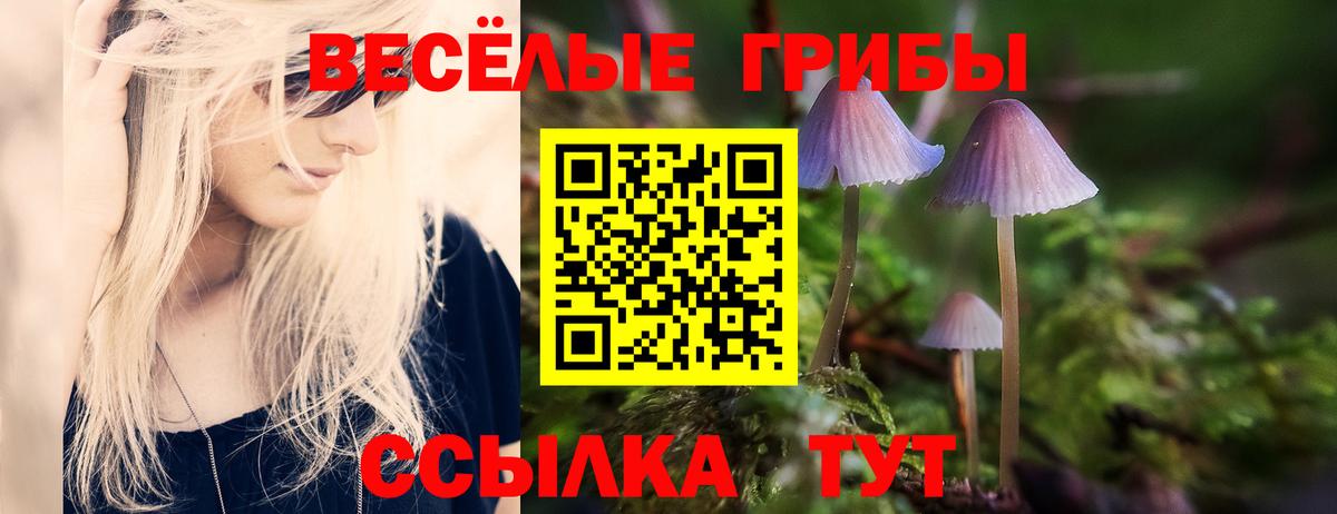 Псилоцибиновые грибы Psilocybine cubensis  Псилоцибиновые грибы мухоморы  Удомля  Вход с VPN 