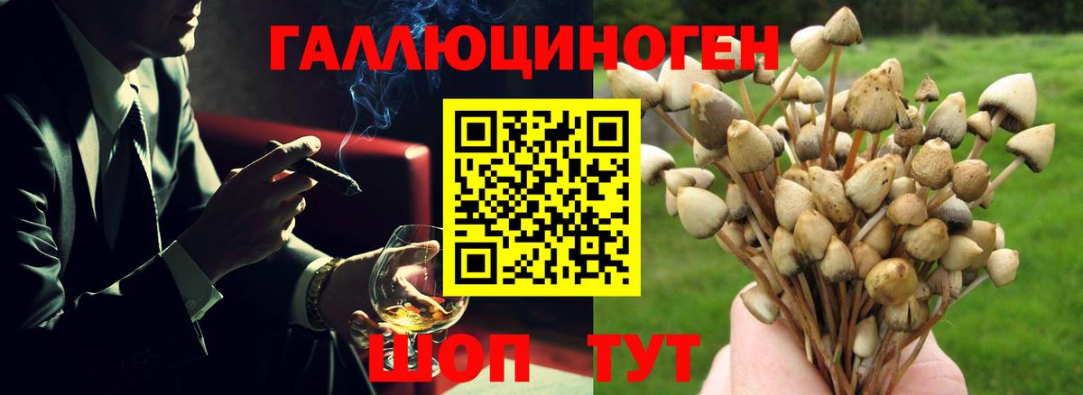 Удомля  Cocaine  Каннабис  МЕФ   Вход с VPN  ГАШИШ  Вейп ТГК 